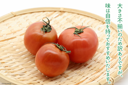 【期間限定発送】 訳あり トマト SUNすいーと 1kg×2箱 [にいな農園 宮崎県 日向市 452060917]