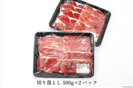 訳あり 牛肉 九州産 和牛 切り落とし 500g×2p 計1kg [日本ハムマーケティング 宮崎県 日向市 452060541] 肉 牛 すき焼き 精肉 冷凍