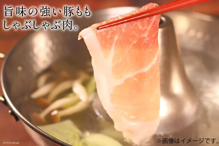 豚肉 しゃぶしゃぶ もも肉 300g×8袋 計2.4kg [甲斐精肉店 宮崎県 日向市 452060718]