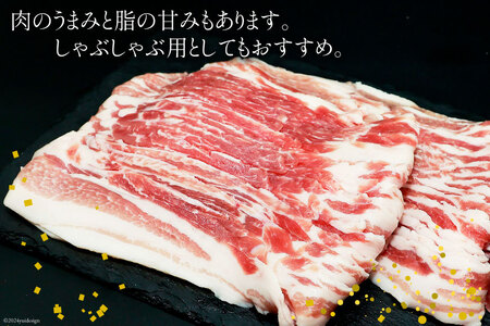 豚肉 スライス バラ肉 300g×5袋 計1.5kg [甲斐精肉店 宮崎県 日向市 452060535] 肉 お肉 精肉 豚 豚バラ 宮崎 国産 しゃぶしゃぶ 小分け 真空 冷凍