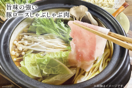 豚肉 しゃぶしゃぶ ロース 300g×5袋 計1.5kg [甲斐精肉店 宮崎県 日向市 452060719]