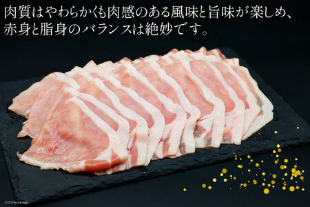 豚肉 しゃぶしゃぶ ロース 300g×5袋 計1.5kg [甲斐精肉店 宮崎県 日向市 452060719]