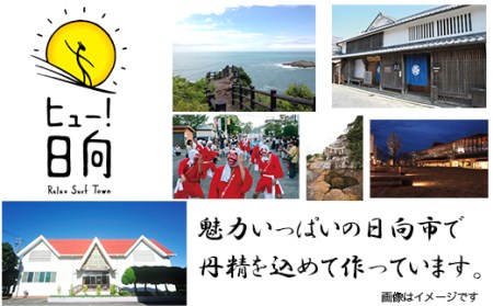日本ハム 豚足 国産 炭火焼 とんそく 132g×10個 [日本ハムマーケティング 宮崎県 日向市 452060948]