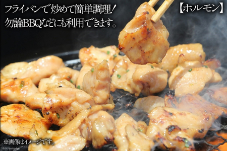 豚肉 もつ ハラミ 食べ比べ セット 300g×各5袋 計3kg [甲斐精肉店 宮崎県 日向市 452060717]