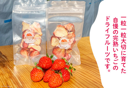 ドライフルーツ 完熟 ドライフルーツ いちご 25g×2袋 計50g