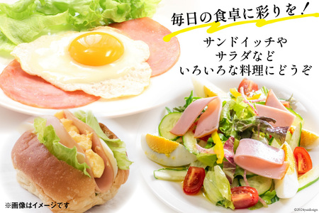 日本ハム ハム ロースハム 104g×10P 計1.04kg [日本ハムマーケティング 宮崎県 日向市 452060951]