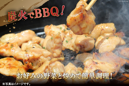 九州産味付豚ホルモン 300g×10袋 計3kg [甲斐精肉店 宮崎県 日向市 452060586]