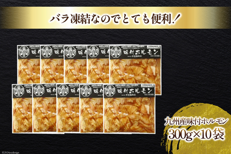 九州産味付豚ホルモン 300g×10袋 計3kg [甲斐精肉店 宮崎県 日向市 452060586]