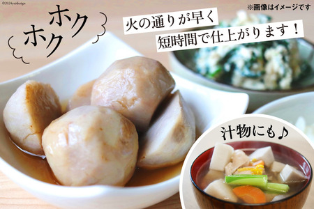 【期間限定発送】 里芋 赤芽 2kg [甲斐自然派農園 宮崎県 日向市 452060525]