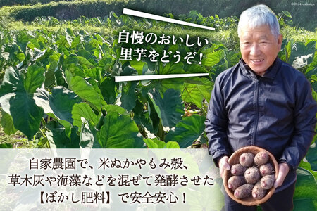 【期間限定発送】 里芋 赤芽 2kg [甲斐自然派農園 宮崎県 日向市 452060525]