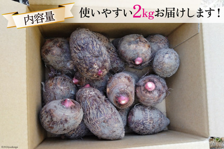 【期間限定発送】 里芋 赤芽 2kg [甲斐自然派農園 宮崎県 日向市 452060525]