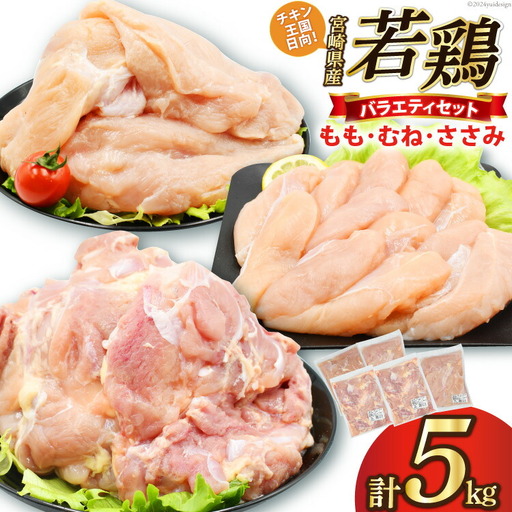 肉 鶏肉 鶏肉バラエティセット もも2kg むね2kg ささみ1kg 計5kg [アイフーズ 宮崎県 日向市 452060753]