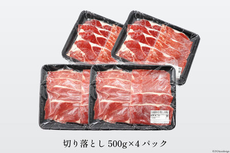 牛肉 訳あり 日本ハム 九州産 和牛 切り落とし 500g 4p 計 2kg [日本ハムマーケティング 宮崎県 日向市 452061135] 冷凍 小分け 個包装 牛 すき焼き もも肉 モモ肉 牛バラ 牛肩