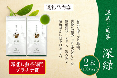 お茶 緑茶 深蒸し煎茶 深緑 100g×2本 [谷岩茶舗 宮崎県 日向市 452061605]
