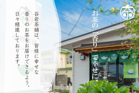 お茶 緑茶 深蒸し煎茶 深緑 100g×2本 [谷岩茶舗 宮崎県 日向市 452061605]