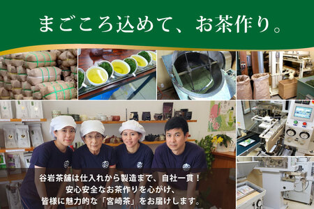 お茶 緑茶 深蒸し煎茶 深緑 100g×2本 [谷岩茶舗 宮崎県 日向市 452061605]