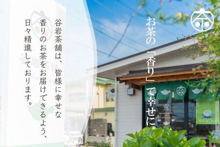 お茶 緑茶 深蒸し煎茶 深緑 100g×3本 [谷岩茶舗 宮崎県 日向市 452061606]