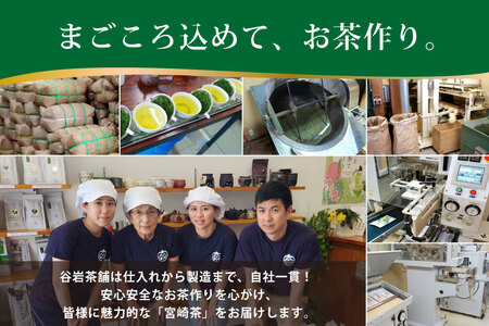 お茶 緑茶 深蒸し煎茶 深緑 100g×3本 [谷岩茶舗 宮崎県 日向市 452061606]