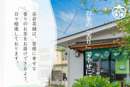 お茶 緑茶 煎茶 晟 70g×2本 [谷岩茶舗 宮崎県 日向市 452061611]