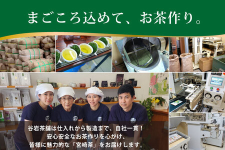 お茶 緑茶 煎茶 晟 70g×2本 [谷岩茶舗 宮崎県 日向市 452061611]