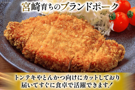 豚肉 小分け 宮崎ブランドポーク ロース トンテキ とんかつ カット 100g ×5枚 500g [ウィズ・クリエイティブ 宮崎県 日向市 452060770]