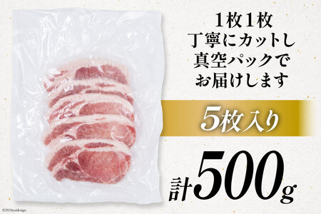 豚肉 小分け 宮崎ブランドポーク ロース トンテキ とんかつ カット 100g ×5枚 500g [ウィズ・クリエイティブ 宮崎県 日向市 452060770]