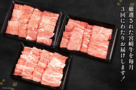 牛肉 定期便 3回 宮崎牛 バラエティAコース 計 1.3kg [ミヤチク 宮崎県 日向市 452061590]