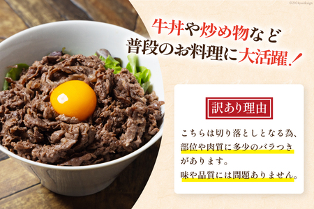 牛肉 訳あり 宮崎県産和牛切り落とし 500g [ウィズ・クリエイティブ 宮崎県 日向市 452060762]