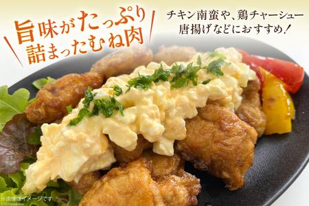 鶏肉 3回 定期便 宮崎県産 若鶏 むね肉 2kg 計 6kg [エム・ティ・シー 宮崎県 日向市 452061365]