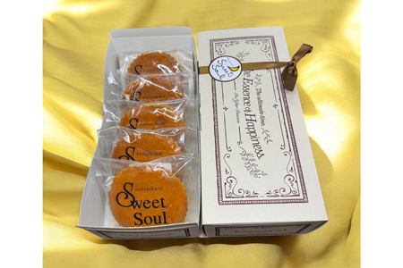 マドレーヌ 個包装 ひゅうがの太陽 5個入り [三日月堂 宮崎県 日向市 452061138]