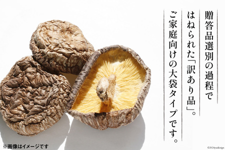 訳あり しいたけ 乾燥 原木乾燥しいたけ 500g [浜辺しいたけ 宮崎県 日向市 452061051]