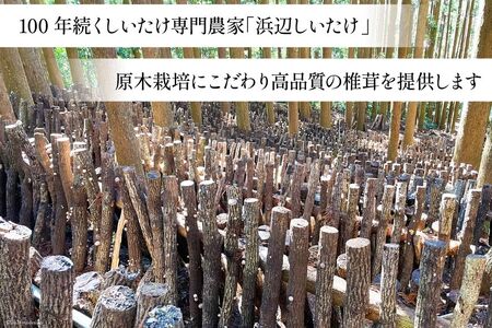 訳あり しいたけ 乾燥 原木乾燥しいたけ 500g [浜辺しいたけ 宮崎県 日向市 452061051]