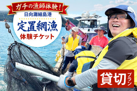 体験 日向灘細島港 定置網漁 体験チケット 貸切プラン [高田屋 宮崎県 日向市 452061158]