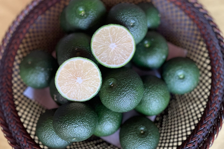 【期間限定発送】 へべす 訳あり 宮崎 栽培期間中 農薬不使用 露地へべす 1.2kg [かわの農園 宮崎県 日向市 452061172]