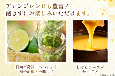 鶏 炭火焼 国産 鶏炭火焼 120g 10p 真空パック [さくら産業 宮崎県 日向市 452061214]