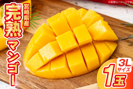 【期間限定発送】 マンゴー 宮崎県産 完熟マンゴー 3L 以上 1玉 [日向サンパーク 宮崎県 日向市 452061246]