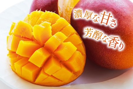 【期間限定発送】 マンゴー 宮崎県産 完熟マンゴー 3L 以上 1玉 [日向サンパーク 宮崎県 日向市 452061246]