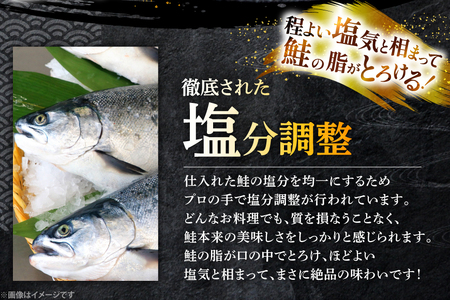 鮭 厚切り 塩銀鮭 A品 切り身 約1.5kg [安田 宮崎県 日向市 452061275]