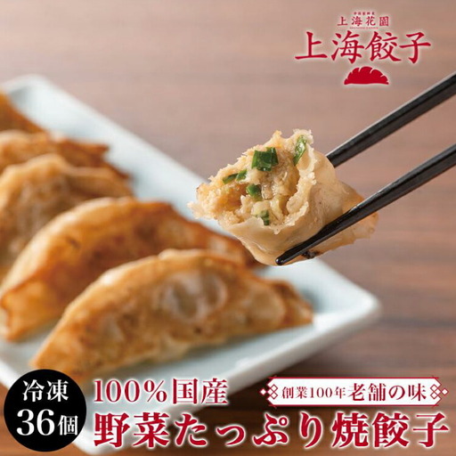 餃子 宮崎 上海花園 特製餃子 36個 [サニーガーデン 宮崎県 日向市 452061171]