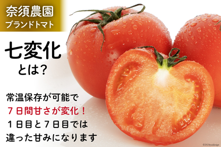 【期間限定発送】 トマト こだわりのホントに美味しい 高糖度トマト 7～13玉 化粧箱入り [奈須農園 宮崎県 日向市 452060935]