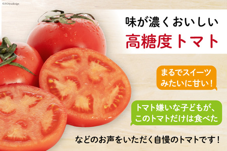 【期間限定発送】 トマト こだわりのホントに美味しい 高糖度トマト 7～13玉 化粧箱入り [奈須農園 宮崎県 日向市 452060935]