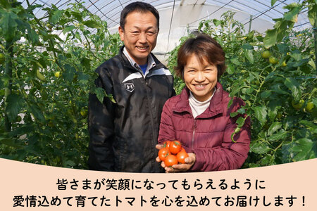 【期間限定発送】 トマト こだわりのホントに美味しい 高糖度トマト 7～13玉 化粧箱入り [奈須農園 宮崎県 日向市 452060935]