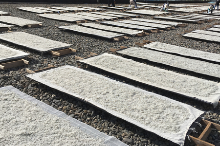 ちりめん 宮崎県産 無添加 ちりめんじゃこ 120g 3p 計360g [幸脇漁業生産組合 宮崎県 日向市 452061353]