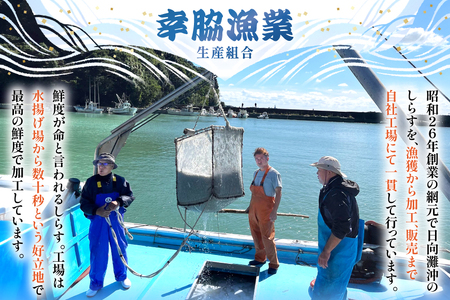 ちりめん 宮崎県産 無添加 ちりめんじゃこ 120g 3p 計360g [幸脇漁業生産組合 宮崎県 日向市 452061353]