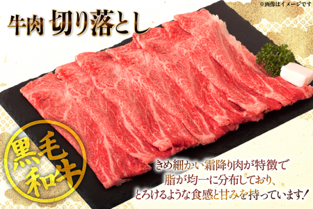 牛肉 宮崎県産 黒毛和牛 赤身 スライス 切り落とし 250g 6p 計1.5kg セット [TRINITY 宮崎県 日向市 452061320]