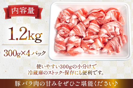 豚肉 宮崎県産 豚バラ しゃぶしゃぶ用 300g 4p 計 1.2kg セット [TRINITY 宮崎県 日向市 452061331]