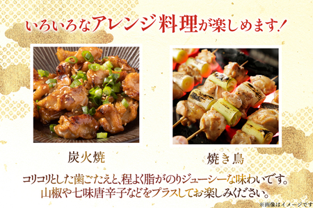 鶏肉 はらみ 宮崎県産 若鶏 ハラミ 300g 10p 計 3kg セット [TRINITY 宮崎県 日向市 452061343]