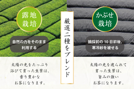 お茶 プレミアム ティーバッグ 露ぶせ 3g 12個 3袋 セット [谷岩茶舗 宮崎県 日向市 452061619]