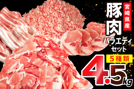 豚肉 宮崎県産豚肉 バラエティ セット 計4.5kg [南九フーズ 宮崎県 日向市 452061538]