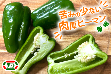 【期間限定発送】 ピーマン 宮崎県産ピーマン 2kg [東九農園 宮崎県 日向市 452061218]